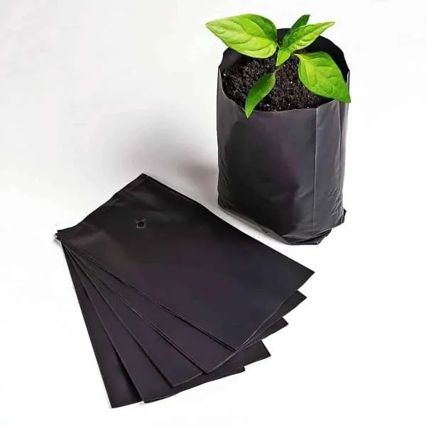 INV-005 Bolsas de Germinación 28x30cm paq 250un