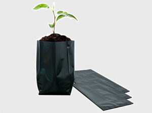 INV-006 Bolsas de Germinación 23x34cm paq 200